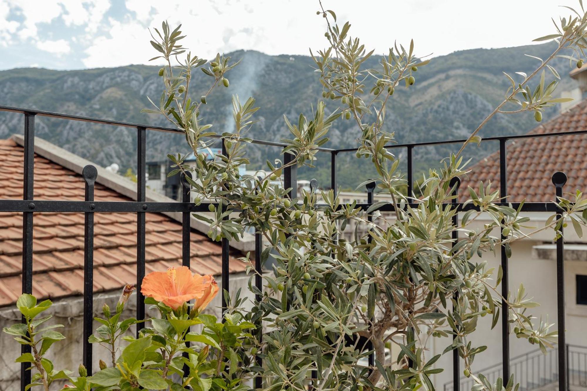 Kotor Central Point Екстер'єр фото